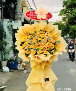ĐC - K226